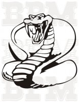 /album/draky-plazy/draci-hady-1-jpg/